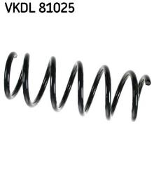 SKF VKDL 81025